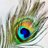 adhiya_keyur