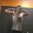 rob_utmost
