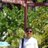 mathuralok99
