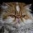 Pishgrumpy1