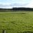 andy_dundon