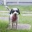 lucia_sarmien