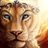 Lioness2211