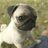 shan_2046