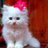 tweetboy4451