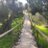 ireneyjose8695