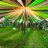 sfan_ahmed