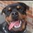 bob_spedding