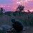 vijay_india10