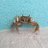 crab_apple_3773