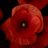 Christelle_C