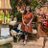 raashi_tapadia