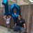 Tom25615095