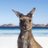 AussieMike4