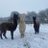 beth_harvey5