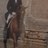 johnhillhorse