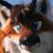 BlakeTheFox