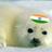 TheIndianSeal