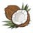 Ripe_Coconuts