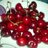 Lisi_522