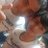 omar_doc78