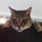 Marty_521