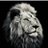 nick_chaudhary