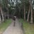 sachisingh47