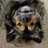Mellypaw21