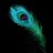 sudhanshu_0ff