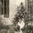 Rosenblumen0