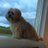 dave__mccoll