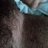 Antoine39925500