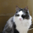 Guyro_Gearloose