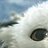 StephG_27