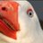 Lobster_Goose