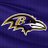 RavensFlock24