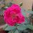 Abhay29259562
