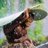 Erwan_Ba