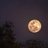 Themoon10828981