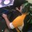 Tav0manGaming