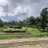 Rabindr02028187