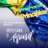 emerson06785002