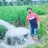 Anilcha39830219