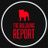 ReportBulldawg