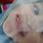 joselit181
