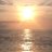 shoko_rf