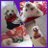 JorgeVe73041203
