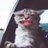 boogiecat11