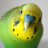 RogerTheBudgie